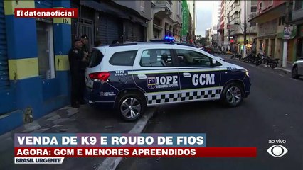 GCM realiza ação contra a venda de K9 e roubo de fios  11/05/2023 18:25:23