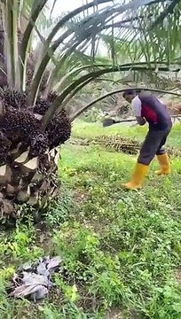 Life-hacks 101 Open wine with zip ties!? Fix floor with crayons!?