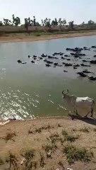 video...ऐसी सोच से बदल सकती है हर गांव की तस्वीर