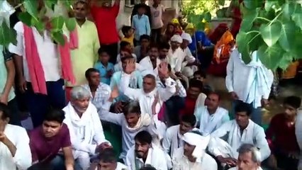 करौली जिले के इस मंदिर में 14 वर्ष बाद हुए भगवान पुरुषोत्तम बिहारी के दर्शन