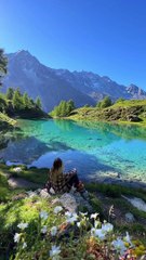 Les montagnes suisses sont magnifiques ✨