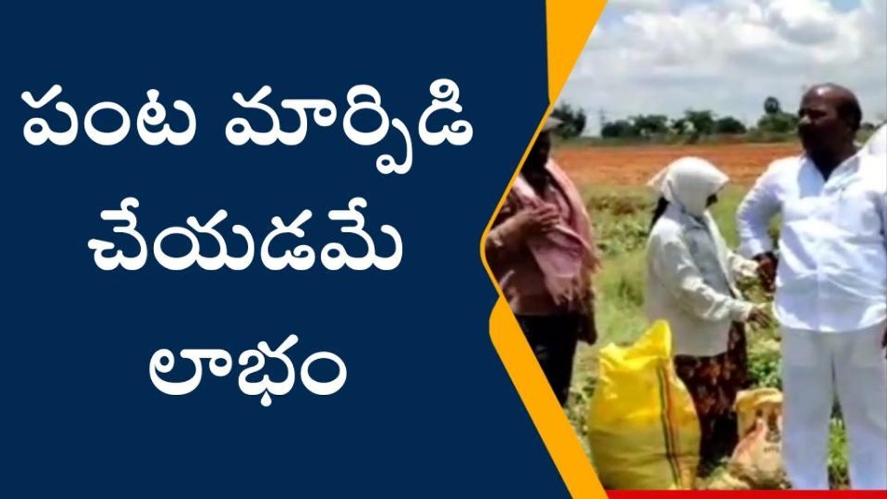 నల్గొండ: పంట పొలాల్లో కూలీలతో ఎమ్మెల్యే భేటీ.. ఎందుకంటే?