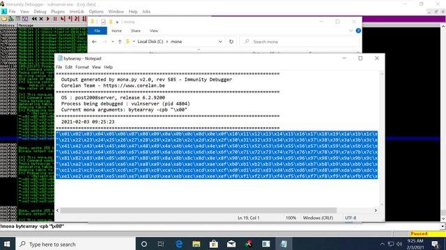 Security Academy Practical Ethical Hacking - Exploit Development Using Python3 and Mona