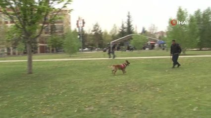 Jandarmanın sevimli kahramanları fuarda şovlarıyla ilgi çekti