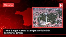 CHP'li Bingöl, Ankara'da soğan üreticilerinin sorunlarını dinledi