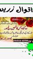 Heart Touching And Amazing Urdu Quotes Collection - Aqwal e Zareen/ Precious Advise Part