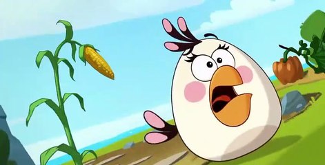 Angry Birds Toons S01 E037. Clash Of Corns