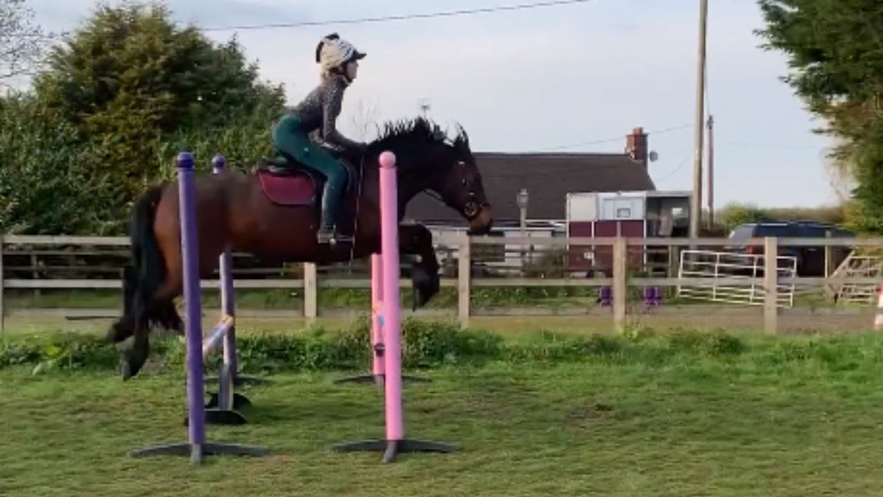Rider gets thrown onto the ground after horse stumbles on a poll while ...