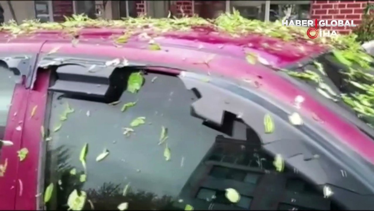 Ceviz büyüklüğündeki dolu milyonluk hasara neden oldu