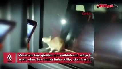 Fare görülen fırın mühürlendi! Tüm ürünler imha edildi