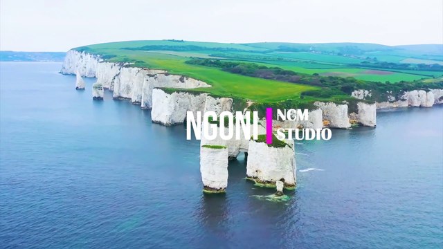 Ngoni - The Mini Vandals ft. Mamadou Koita and Lasso: Reggae Music, Calm Music, Traditional Music, Chill Music