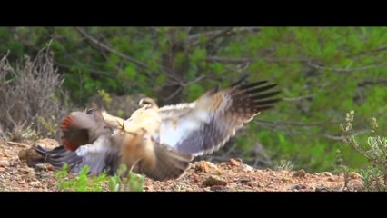 Baleares, el archipiélago indómito - Tráiler