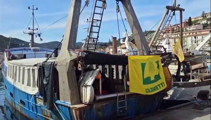 Pescatori, la protesta all'Argentario, suonano le sirene delle imbarcazioni