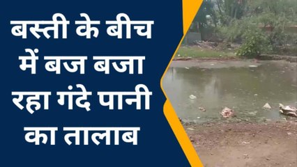 रायबरेली: भीषण गंदगी के बीच रहने को मजबूर हैं इस बस्ती के लोग, देखिए रिपोर्ट