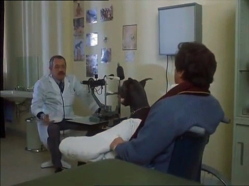 Renato Pozzetto cane alano Gaetano I cani non parlano...Dotto se