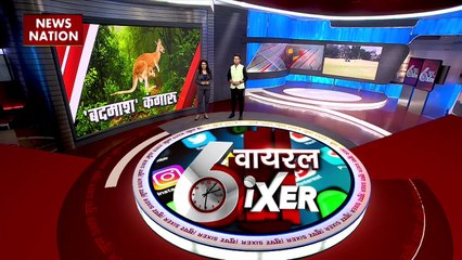 Viral Sixer : देखिए सोशल मीडिया पर वायरल हुए सभी वीडियो Viral Sixer में