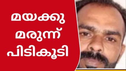 നിറുത്താതെ പോയ ഓട്ടോയില്‍ മയക്കുമരുന്ന്; യുവാവ് അറസ്റ്റില്‍