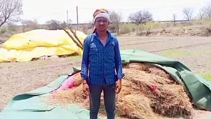 There is no way to reach the farm, every time the crop gets spoiled