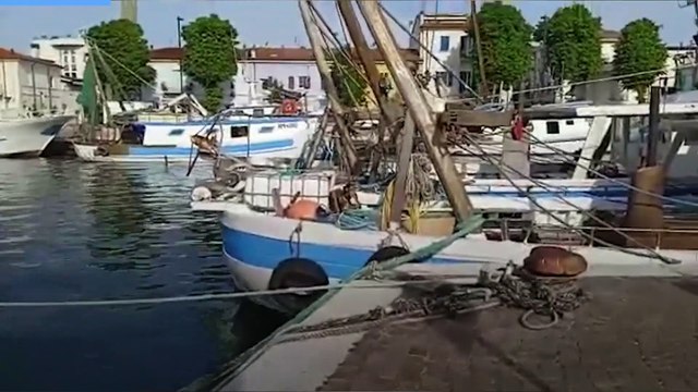 Rimini, la protesta dei pescatori al porto: il video