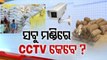 Massive irregularities surfaces in installation of CCTV at mandis in Odisha