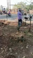 पर्यावरण प्रेमियों ने किया ऐसा काम कि चहूंओर हो रही चर्चा