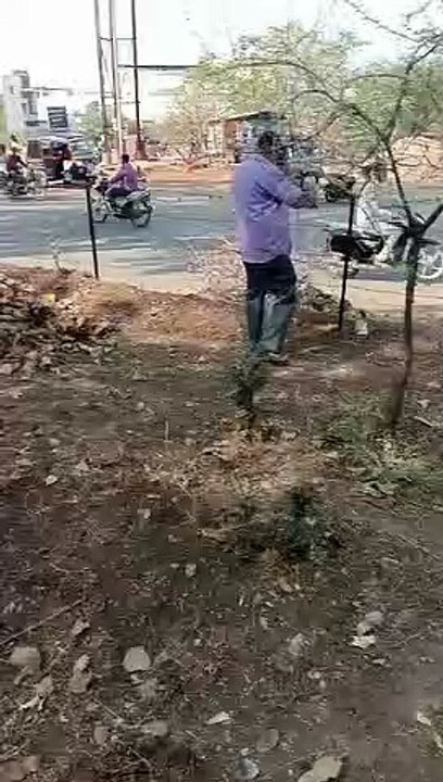 पर्यावरण प्रेमियों ने किया ऐसा काम कि चहूंओर हो...