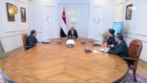 الرئيس السيسي يتابع تطورات الموقف التنفيذي لمشروع «مستقبل مصر» للإنتاج الزراعي
