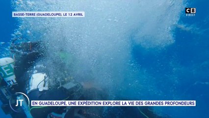 Le journal : En Guadeloupe, une expédition explore la vie des grandes profondeurs