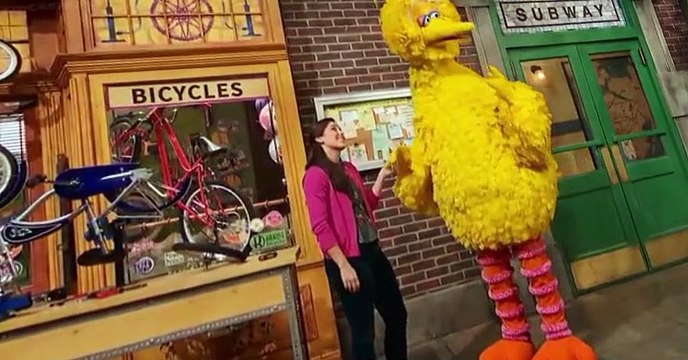 Sesame Street Sesame Street S49 E014 Sesame Friendship
