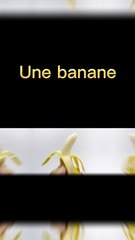 Une banane à 120.000$ finit mangée !