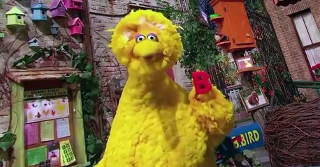 Sesame Street  Sesame Street S49 E017 Fixing X