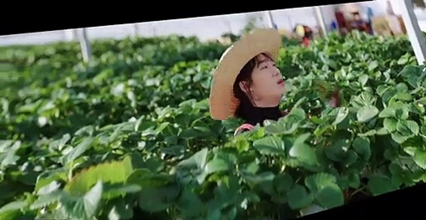 Lovestruck in the City S01 E13