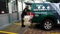 Homem é detido ao tentar furtar batidinha em supermercado