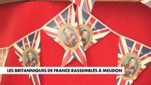 Les Britanniques de France rassemblés à Meudon