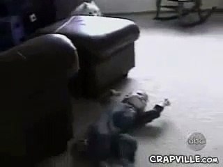 BABY @ DOG - FUNNY VEDIOS