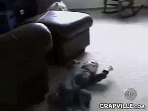 BABY @ DOG - FUNNY VEDIOS