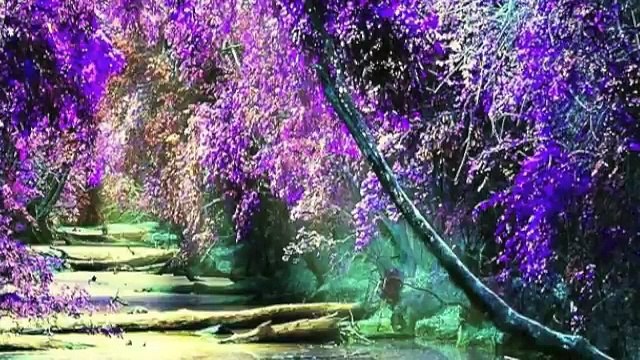 Reiki Healing Meditation I Clear Financial Block I Healing Meditation I