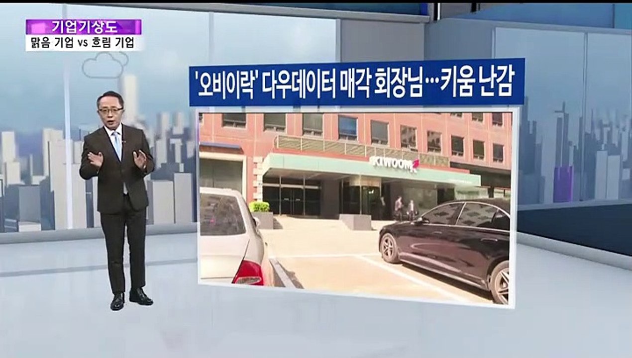[기업기상도] 활로 찾아 맑은 기업 vs 짙은 안개 깔린 기업