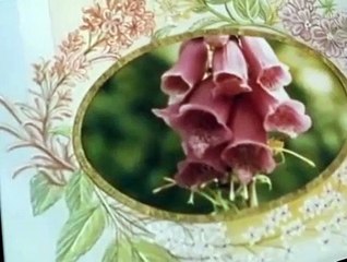 The Wind in the Willows The Wind in the Willows E046 – Fighting Fit