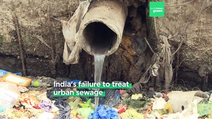 ‘Diseases, mosquitoes, filth’: India’s urban centres are choking on sewage and waste