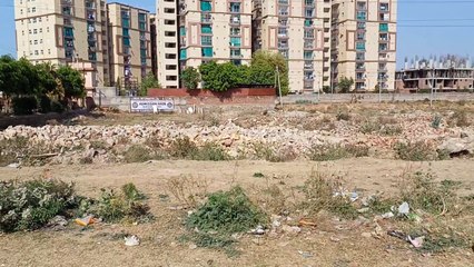 ग्रीनबेल्ट बन रही कंक्रीट का जंगल...देखें वीडियो