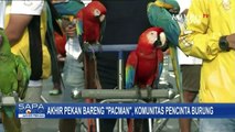 Akhir Pekan Bersama 'Pacman' Komunitas Pecinta Burung!