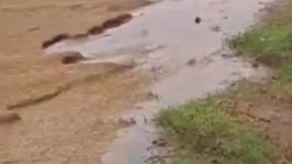 ఘన్‌పూర్: అర్థరాత్రి అకాల వర్షం.. కొట్టుకుపోయిన ధాన్యం