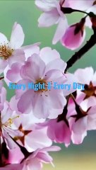 %23Hamd_-_Every_Night___Every_Day.............%23Youtube_Shorts%23Shorts%23Shorts_with_lyrics%23Youtube%23(720p)