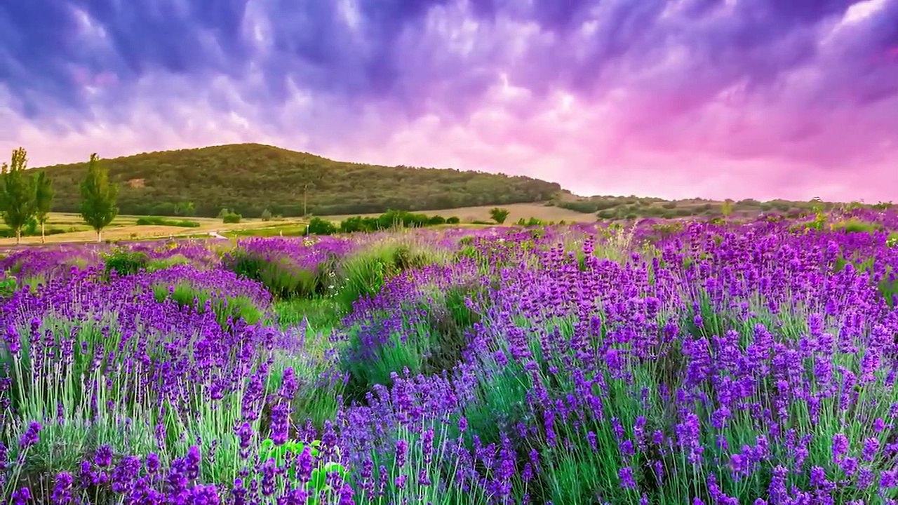 30 Minute Deep Sleep Music, Sleep Meditation, Calm Music, Relaxing Music, Fall Asleep, Relax, ☯3590B