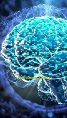 Comment utiliser son cerveau à 100% ?