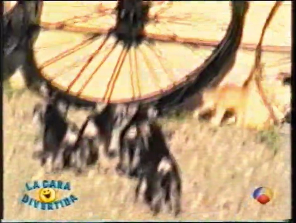 La Cara Divertida perritos miedo 1994