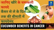 कैंसर से ले के दिल तक की बीमारी में खीरे के फायदे | गर्मी में खीरे के फायदे | cucumber benefits