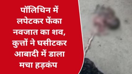 पॉलीथिन में लिपटा मिला नवजात बच्ची का शव, देखने वालों की कांप गई रूह