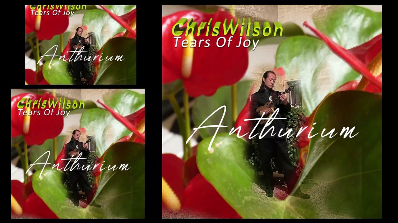 Tears of JoyChrisWilsonVersion 02 Vidéo Dailymotion